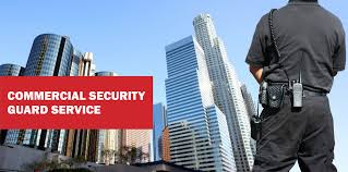 Inexpensive Tools for Commercial Security Upper Marlboro MD